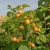 24ac36926f6423dac6b99c4a851afb0a.webp