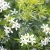 zestaw-czojsia-white-dazzler-4-szt-w-cenie-2_3.webp