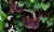 62f180b9622dad6ded91d51f932cb2f3.jpg