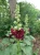 72cc83450b2036d144a6d2a5c9cf297f.webp