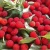 896473ef7a1e65a8715f93f68748fff4.webp