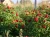 c879adc07d4eb6456aa91691eecb8aa1.webp