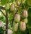 a5611c1d9a6594d5a1302c49b1a433c9.png