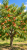 d1d708de0dd118a9e4ca521755fc401c.png