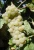 13ff78bcfbb684e5ecfeddeeb4b48341.webp