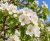 fe4bf560735ae5c0d4369977d030f9f4.png