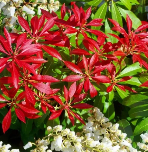 b19353210c19f414aa112ff7db283b58.webp