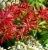 b19353210c19f414aa112ff7db283b58.webp