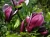 e4d965a14278829bf78bf321920d6761.webp