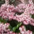 bd5070d1479ed61eaa01a90bfe04d83e.webp