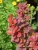 def6c530b9a8ab46da61a4b3f8af6005.webp