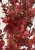 ac2ba9357bf1beb4ea5b89c5d45725ea.webp