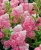 6146fac98b1ab8c0e420151e3b50f530.webp