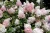 8b1d724588c4b9c8e703ee0636502cd3.webp