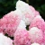 1fea9681b712d4f76a2e119cef95d60c.webp