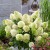 913dc930779ac847defad9b89ee7d1eb.jpg