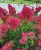 12805a0c4f5cd94b3b3204a8c6efc579.webp