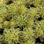 080d85062ac9cc468084a40896c8bb33.jpg