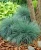 4db0bfcbfc8f53c77a44726c3ea3aa6a.webp