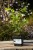 0143cb9f47ed80b03e741d2da75be40a.jpg