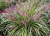 d5d8120bcf94bbabb86621bf216c9d09.png