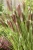 f7cfe4a1a7cbc50b56164025ee8e1633.webp