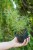 abaff3ae98cd7736210184527d3582ad.jpg