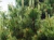 27697cb5ba0d1b82f53a10a7967ce919.webp