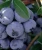 fe12365c9cfb8cae372e9447b896cf13.webp