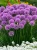 f13cf808f141a9cbf88440148297b39c.webp