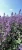 d3be6ba1ebb21557740b0e427a094445.webp