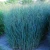 7bfa0e3365f7e40255a94c6ba79ae88a.webp