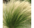 133f2a76ac7a42b7ac4ca179f08f6872.png