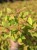 defe2a65e586f1b87aea4fea2ffeea42.jpg