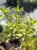 babd7f136d3eedda83f5783a455a61b2.jpg