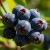 d65b0488bd3cd42fbd1e31fd74333a13.jpg