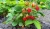 7460bd8aabf01b99d51165c3ab8137bc.webp