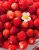 74ec92c9f020e37b1acf9441d6bd5e70.webp