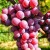 fedac1824352016c2a7ad94fc430150d.jpg