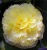 208f5c5dbb1e8a9307a3f092773911cf.webp