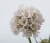 bf664b68a53f972e6871b2c7bde57521.webp