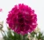 abc2b93b5f2ab67f9b1ffeb8ed359327.webp