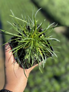 e2705cbb83a8e3afd0d10ddb52f0431c.jpg