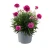 2ef11c3dc186b0c49c1b6637ca6cd0a6.webp