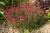 cf84dc4bd5762d4021c5f10de95dc893.webp