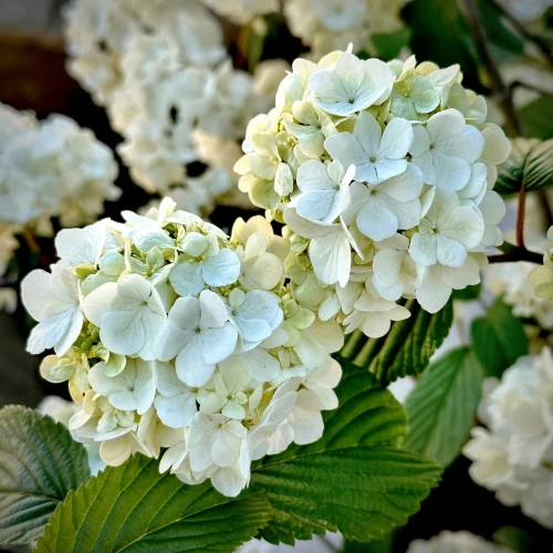 72f425405e922c6c962e152c9d6e6133.jpg