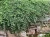 05769dfe20f9565753cce33c8e963032.webp