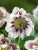 be8a55a5bc4e899fd5ef46cef1faf177.jpg